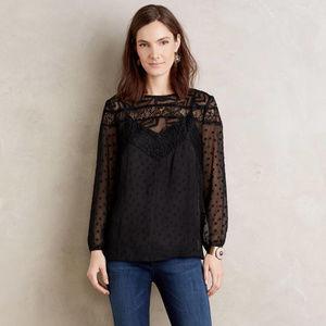 HD in Paris Anthro Verona Lace Swiss Dot Top